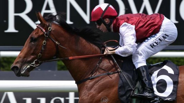"Absolute star": Christian Reith and Earthquake win at Randwick on Saturday.
