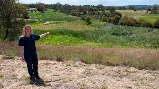 Kate Busby from the Swan River Trust overlooking the Ellen Brook site.