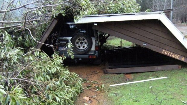 There was a lucky escape after a tree came down at Lewana Cottages. 