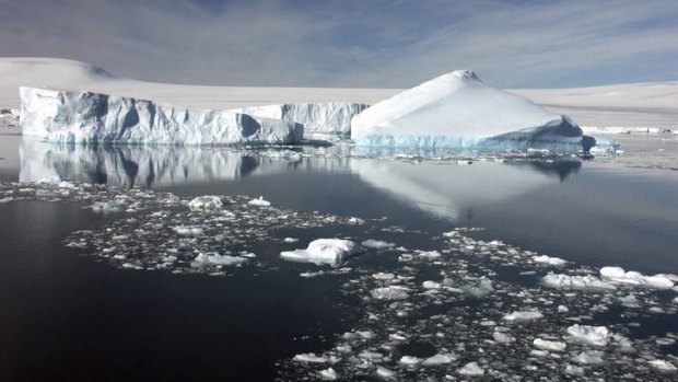 Antarctic sanctuary . . . the marine reserves will be on the commission's agenda when it meets again in July.