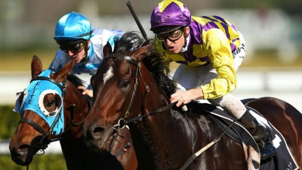 On the rise: Josh Parr steers Blademeister to victory at Randwick.