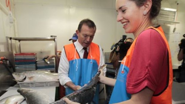 Tony Abbott's daughter Louise joins him at a fish market in Mackay today.