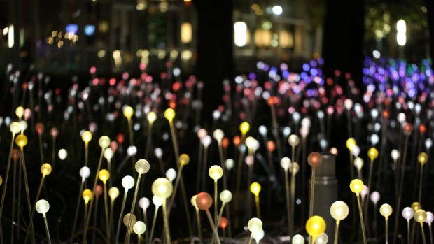 Thousands of lights will be planted on Albany's Mt Clarence.