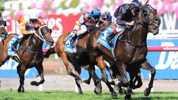 Drawcards: Fiorente and Damien Oliver win the Australian Cup on Saturday.
