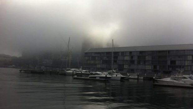 Sydney had a foggy start to the day.