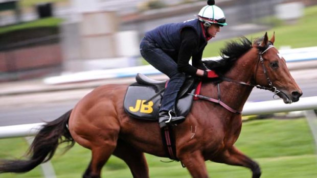 "Super order" ... John Bary declared his deposed Cox Plate favourite Jimmy Choux is in with a chance.