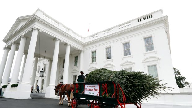First lady Michelle Obama received the official White House Christmas Tree on November 25.