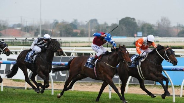 Rolling along: Stephen Baster and Star Rolling score at Caulfield last month.
