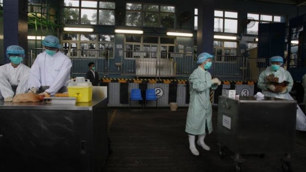 Officials from the Centre for Food Safety get blood and swab samples from chickens imported from mainland China at a border checkpoint in Hong Kong.