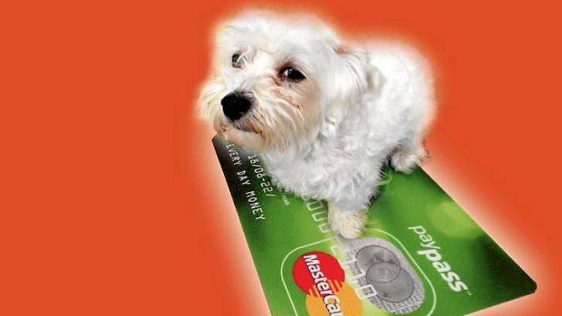 Dogged by debt: you might be able to pay no interest on your balance by shopping around for  credit card deals.