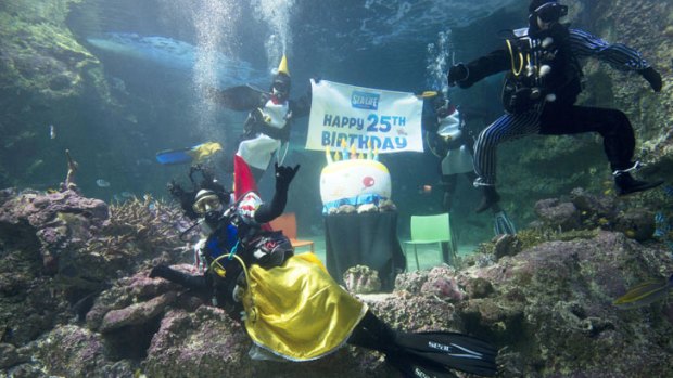 Aquarists put on a show for SEA LIFE Sydney Aquarium's 25th birthday party.