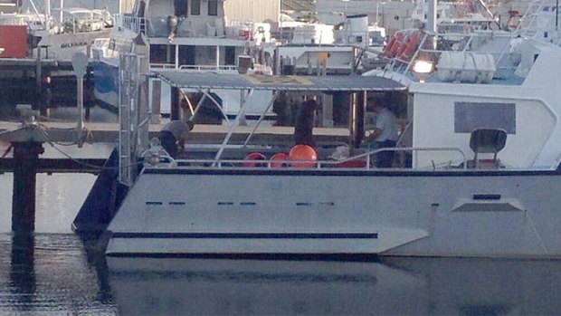 Fisheries officers setting up drum lines in Fremantle on Friday morning.