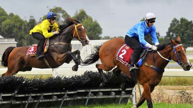 Horses negotiate the new fences in trials at Stony Creek earlier this month.