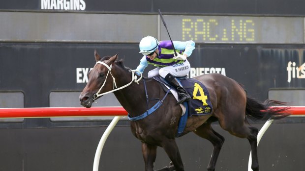 One to watch: Resurrect wins for Blake Spriggs may be a late scratching at Rosehill.