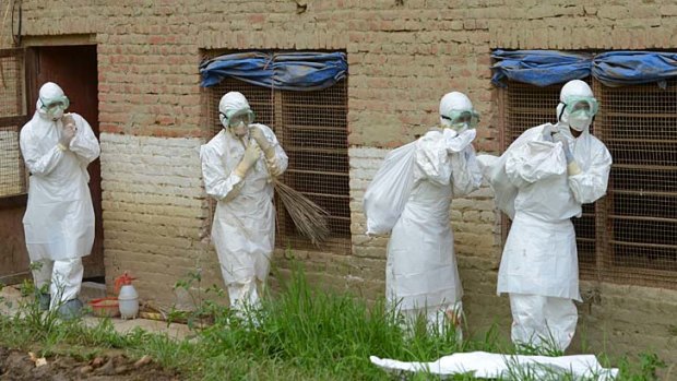 Chicken cull: Nepalese health workers carry sacks of dead chickens out of a poultry farm with a suspected bird flu outbreak.