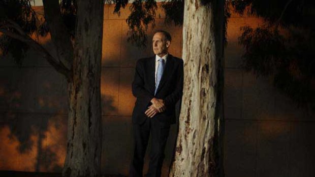 Power with responsibility: Greens leader Senator Bob Brown leans on a tree outside Parliament House. <i>Picture: Andrew Meares</i>