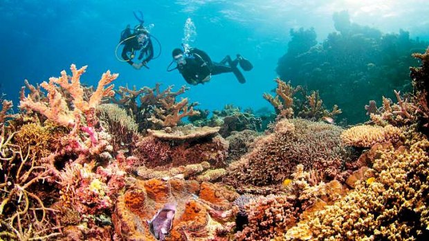 Controversy rages over the Great Barrier Reef.