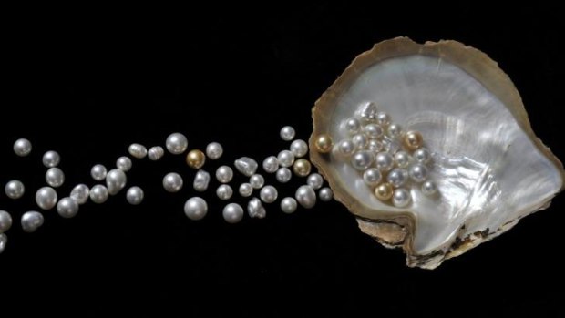 These days, Broome pearls can fetch thousands of dollars.