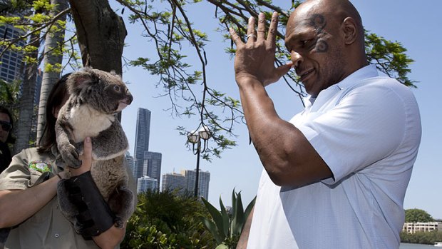 Former heavyweight boxing champion Mike Tyson faces off against a koala at Stamford Plaza in Brisbane's CBD.