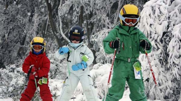 Beginners ... ski schools cater for all levels of experience.
