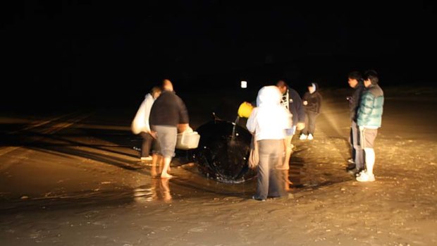 Rescuers worked throughout the night in a bid to keep the whale alive.
