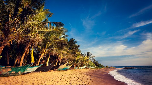 The average price of hotels in Sri Lanka has nose-dived.