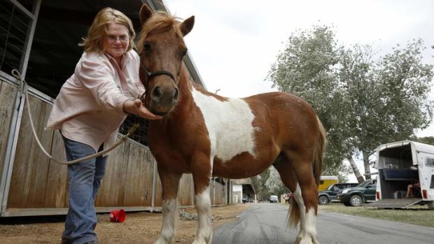 Judith Winter of Mount Fairy and her miniature horse Rebel.