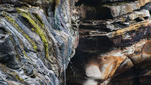 Outfall: A cliff sewer next to Eastern Avenue Reserve in Vaucluse on December 16.