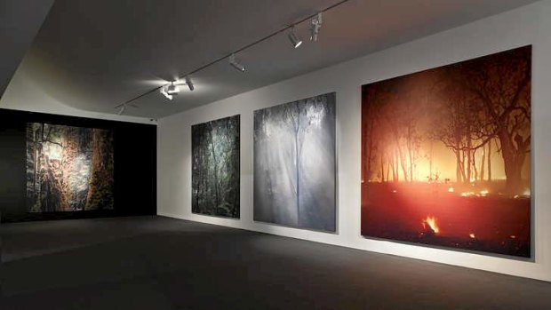 Claudia Terstappen's exhibition,<i> In the Shadow of Change</i>