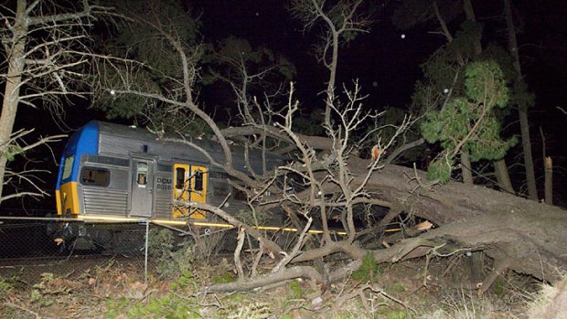 Passengers injured ... a tree causes huge damage to a train at Medlow Bath, in the Blue Mountains, last night. Three people needed to be treated at the scene.