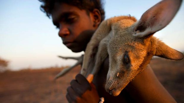 Home, sweet homeland: Jules Nganbe carries a wallaby to a campfire in the traditional Aboriginal lands.