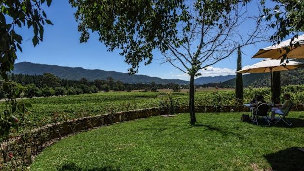 Boynton's Feathertop Winery, at 6619 Great Alpine Road.