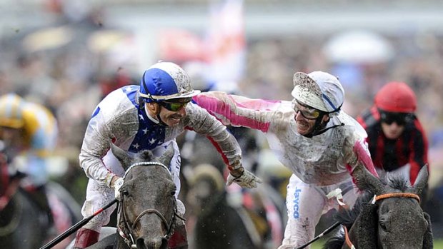 Sidelined: 2010 Melbourne Cup runner-up Maluckyday (right) is out of contention this year.