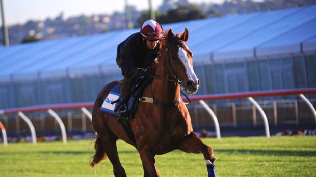 Well backed &#8230; Helmet, with Kerrin McEvoy aboard during trackwork, goes in to this Saturday's Cox Plate as joint favourite with New Zealand's Jimmy Choux.