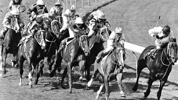 "Kingston Town can't win" Racecaller Bill Collins was justified in writing off superstar Kingston Town (Peter Cook, midfield with whip in the air) on the turn in 1982. He went on to win his third successive Cox Plate.