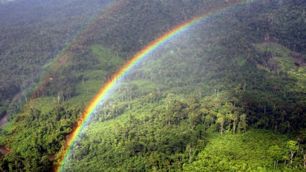 The Ulu Baram rainforest in Sarawak.