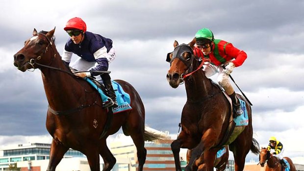 Steven King guides Wales to victory in the National Jockeys' Trust Redoute's Choice Stakes.