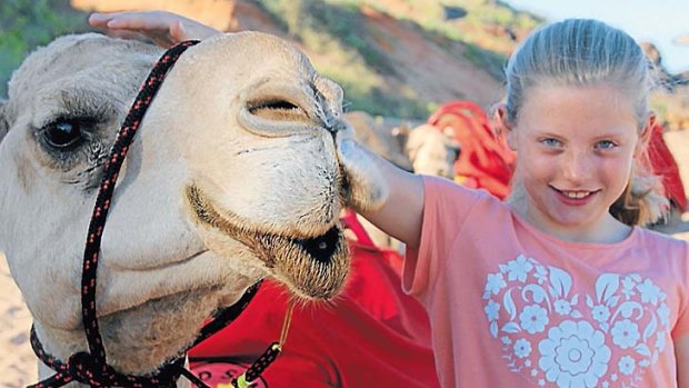 Rodney the camel with his first fare for the day.