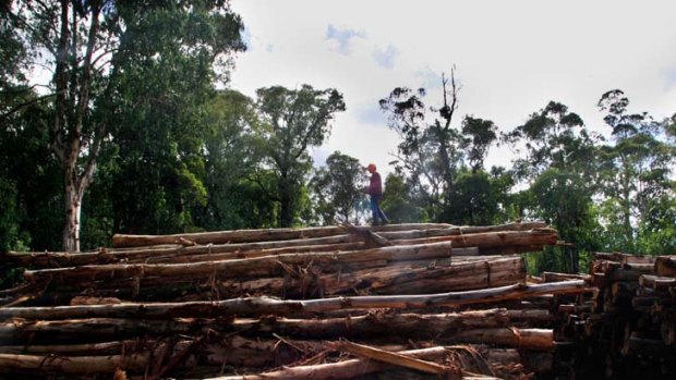 Time to log off ... native forest logging is becoming economically unviable.