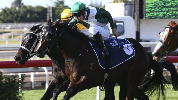 Winning combination: Tommy Berry (in green) rides Almalad to victory in Brisbane in June.