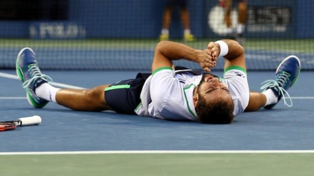 Flat out: Cilic triumphed in straight sets.