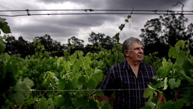 Too hot to handle... Ken Bray of Braemore Wines in Pokolbin hopes to avoid a heatwave that would affect his grapes.