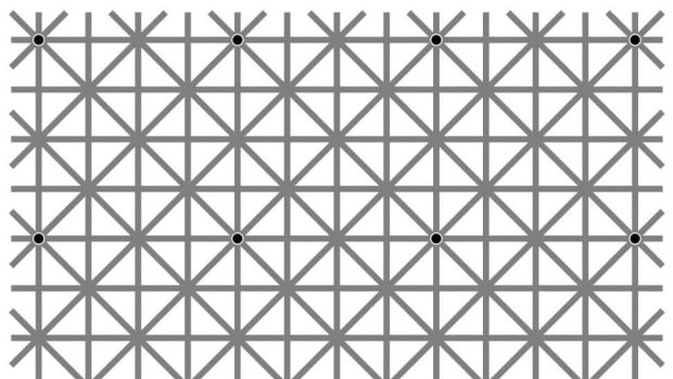 How many dots can you see in the so-called Scintillating Grid? 