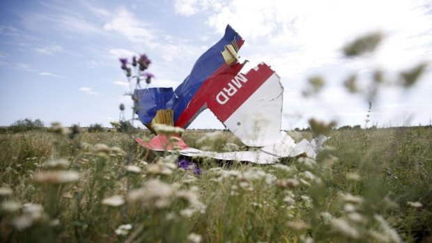 A part of the wreckage of Malaysia Airlines flight MH17. 
