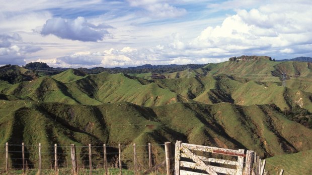 The creased hills of New Zealand's Forgotten World.