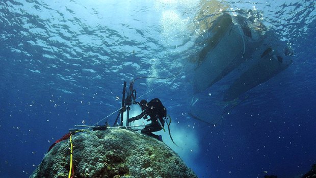 A researcher coring coral at the Rowley Shoals, west of Broome.