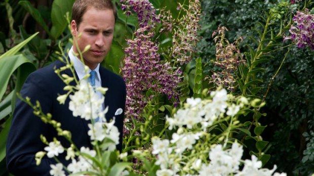 "It's beautiful" ... Prince William views an orchid hybrid named after his mother Diana, the Princess of Wales.
