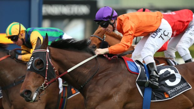 Defending champ: Takedown arrives in time to take last year's The Shorts at Randwick.