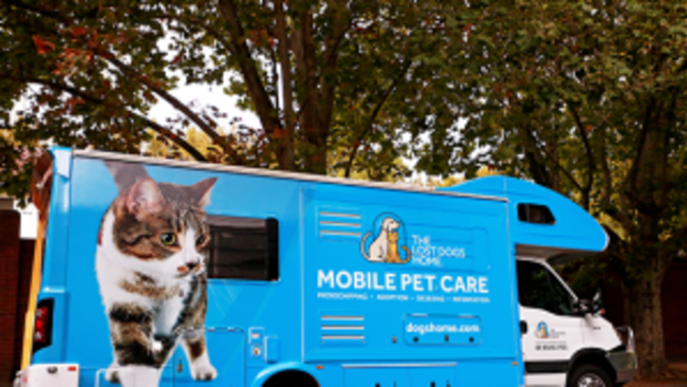 The Lost Dogs Home mobile pet care van. Some members of the animal charity, deeply upset by developments, are considering cancelling bequests.