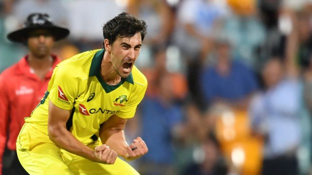 Plenty to get excited about: Mitchell Starc is expected to command a huge price at the IPL auction.